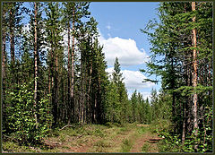 photo "The Abandoned road."