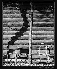 фото "* * *"