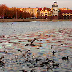 photo "Schlacht bei Fischdorf"