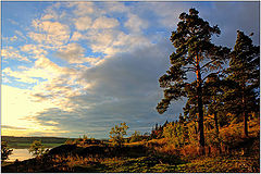 photo "On high coast Airanne"