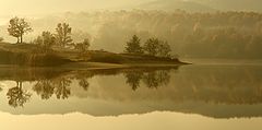 photo "***"