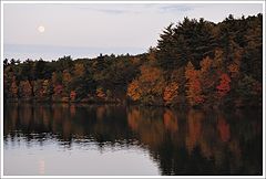 фото "Осенний пейзаж под полной луной"