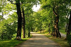 фото "в старом парке"