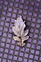 photo "***"