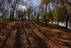 фото "Звезда по имени Солнце"