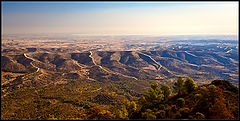 фото "Morning light"