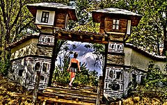 photo "On adventure"