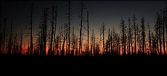 фото "После пожара"