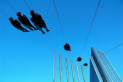photo "Dive"