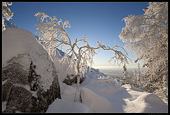 photo "Winter scene / 0184_0081"