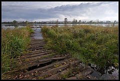 photo "Small bridge / 0181_0112"