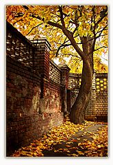 photo "***"
