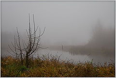 photo "Autumn melody"