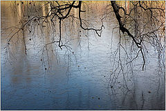 photo "The first ice"