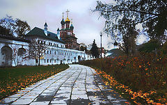 фото "the road"