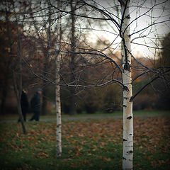 photo "***"