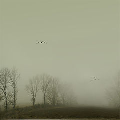 photo "Оvertake"