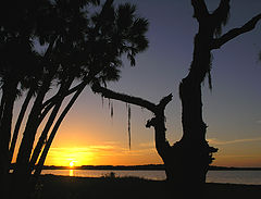 фото "Sunset over Myakka Lake"