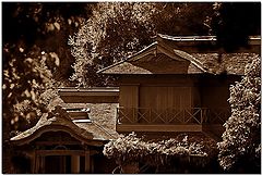 фото "Sepia Nippon"