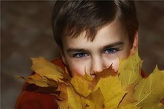 photo "***"