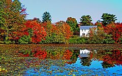 photo "Autumn in New England #2"