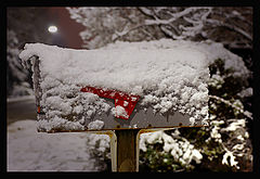 photo "Unexpected mail"