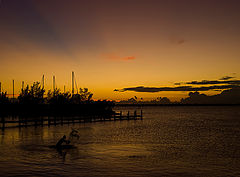 photo "The Catcher"
