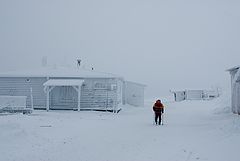 photo "Red man walking"