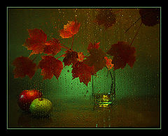 photo "****"