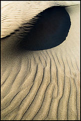 photo "Eye"