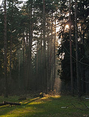 photo "Autumn noon and traces of "civilization""