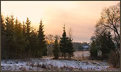 photo "The beginning of winter"