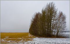 фото "Грань перемен и предчувствий"