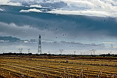 фото "BARROCA D'ALVA"
