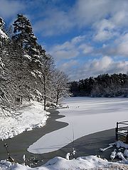 photo "November, first ice"
