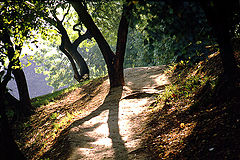 фото "At the Park"