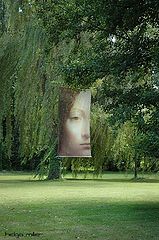 photo "Leonardo's garden"