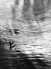 фото "Breath"