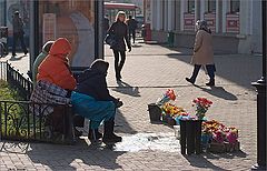 фото "Будний день"