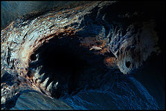 фото "Donau shark"