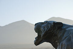 photo "Guard"