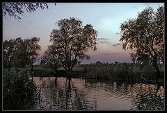 photo "***"