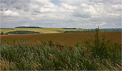 photo "Multi-coloured a field"