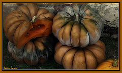 фото "pumpkins"