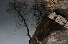 фото "Тарзанка"