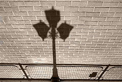 photo "shadow"