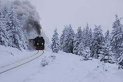 photo "The train is comming"