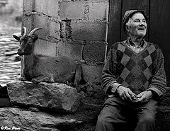 photo "Rural Moments"