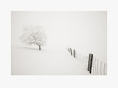 photo "a winter's tale"