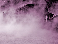 photo "***"